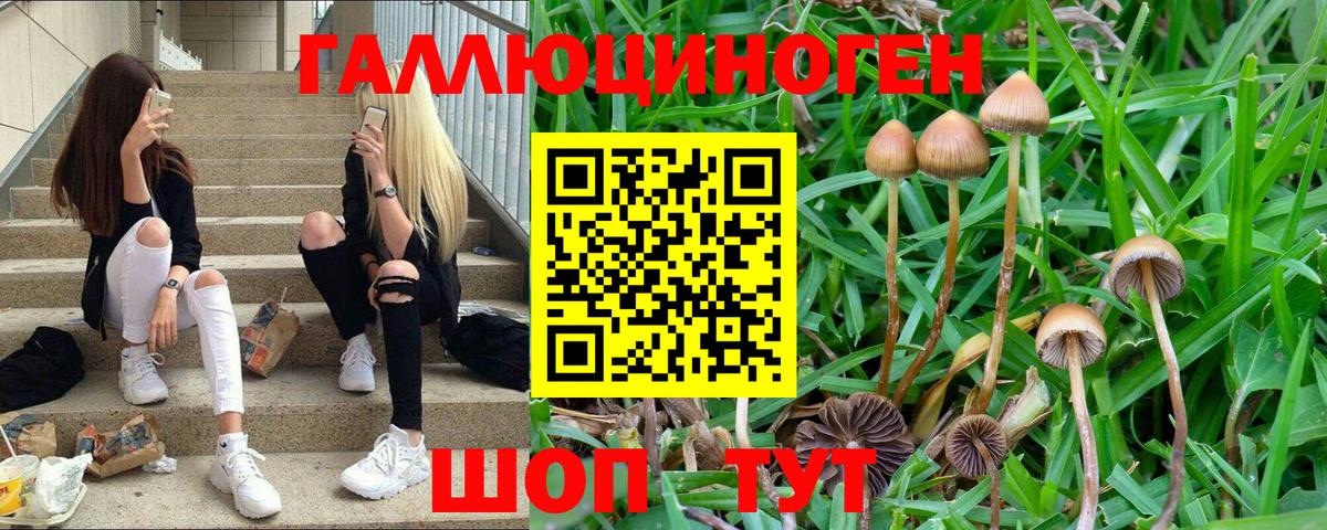 Псилоцибиновые грибы прущие грибы  Галлюциногенные грибы мухоморы  Вход с VPN  Гусиноозёрск 